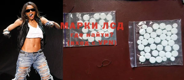 прущие грибы Краснослободск