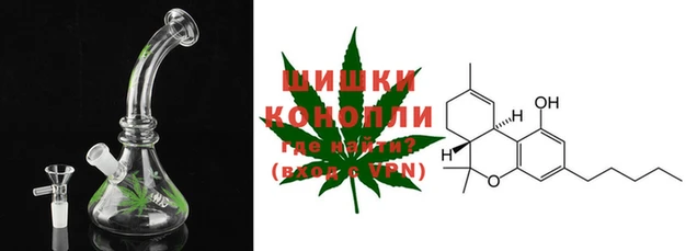 гидра Коряжма