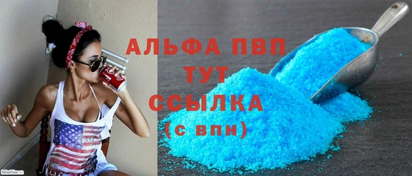 гидра Коряжма