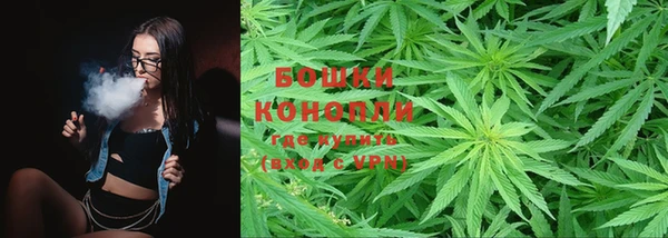 гидра Корсаков