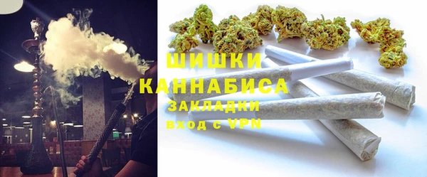прущие грибы Краснослободск