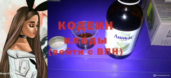 прущие грибы Краснослободск