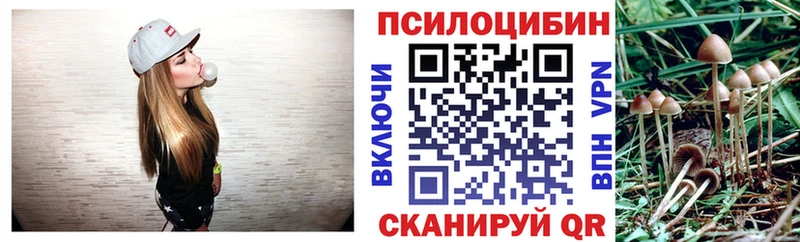 купить наркоту  Калач  Галлюциногенные грибы Cubensis 